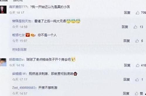 东北高校爆料视频播放,揭秘校园生活幕后真相  第2张